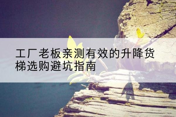 剑阁升降货梯怎么选-工厂老板亲测有效的升降货梯选购避坑指南
