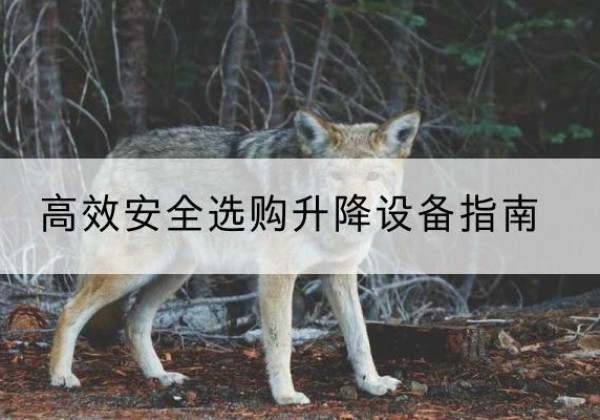 剑阁升降货梯厂家推荐-*安全选购升降设备指南