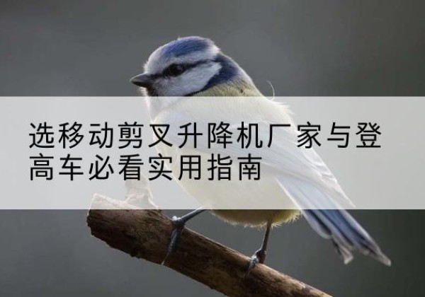 剑阁电动升降机厂家-选移动剪叉升降机厂家与登高车必看实用指南