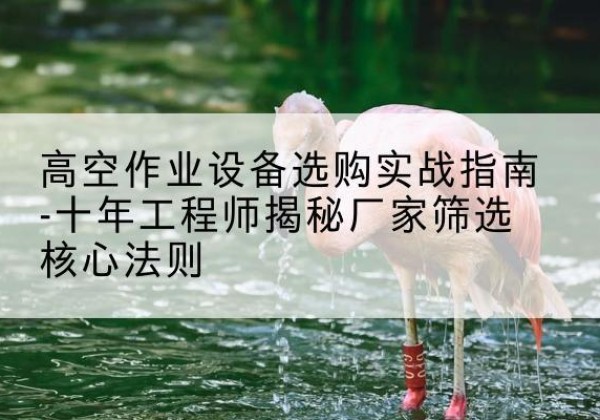 剑阁剪叉式升降机厂家-高空作业设备选购实战指南-十年工程师揭秘厂家筛选核心法则