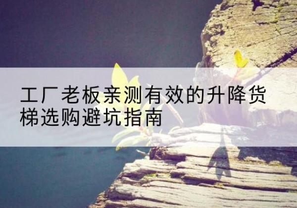 剑阁升降货梯怎么选-工厂老板亲测有效的升降货梯选购避坑指南